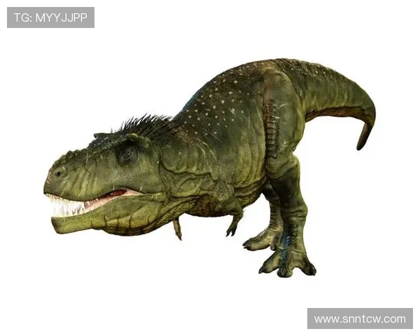 雷克斯暴龙觉醒探索恐龙世界的神秘力量与人类命运的终极对决 雷克斯暴龙觉醒探索恐龙世界的神秘力量与人类命运的终极对决