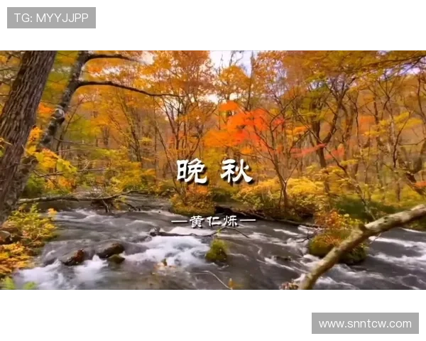 《晚秋》：一场秋叶般的绝美邂逅，一段刻骨铭心的别离