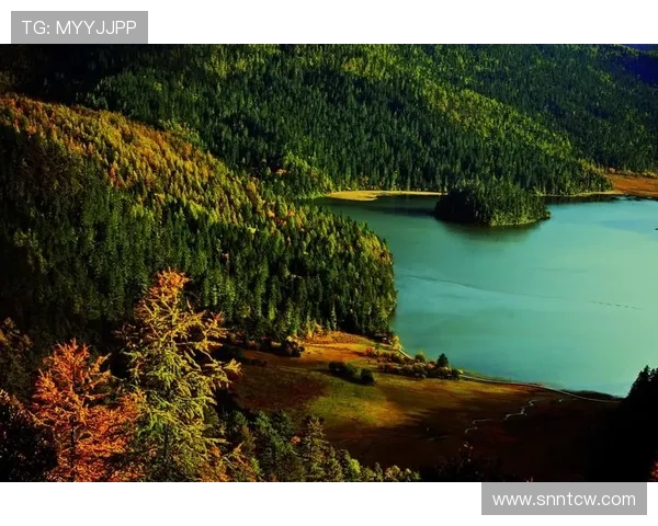 漂泊手记：在流动的时光里，寻找心灵的栖息地